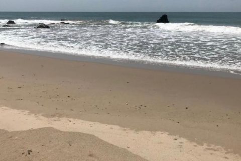 Sans Souci Turtle spots in Trinidad