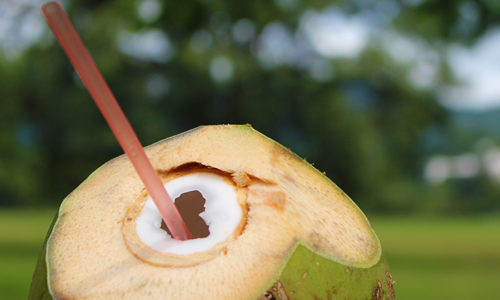 must-try food in Trinidad and Tobago