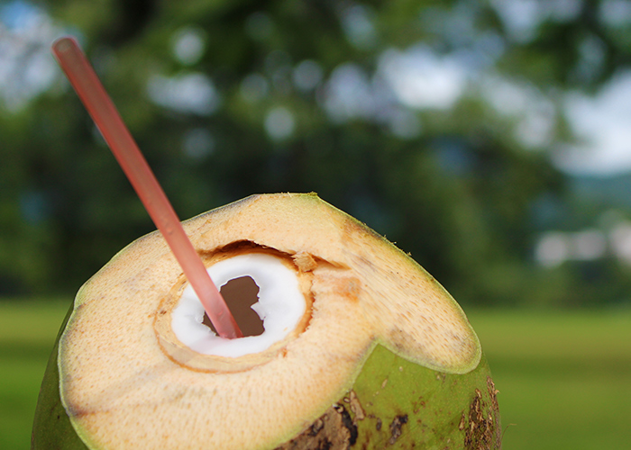 must-try food in Trinidad and Tobago