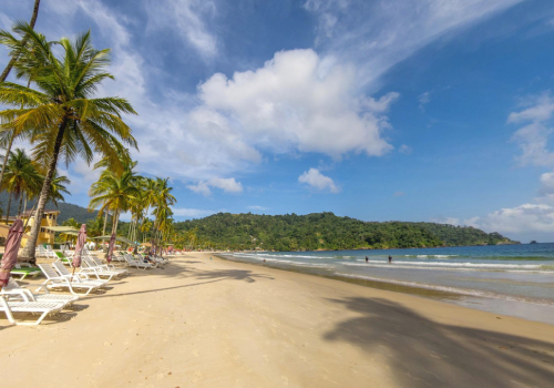 Maracas Bay Virtual Tour in Trinidad Maracas Bay Virtual Tour in Trinidad