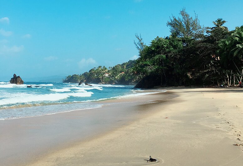 visitTrinbago