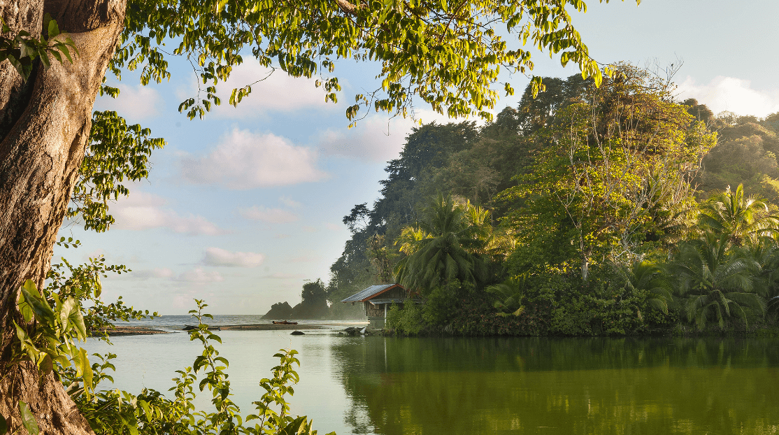 visitTrinbago