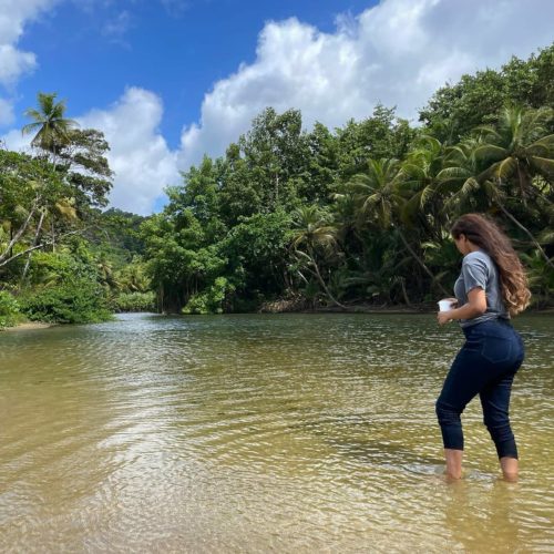 Marianne River in Trinidad - Stef Kalloo