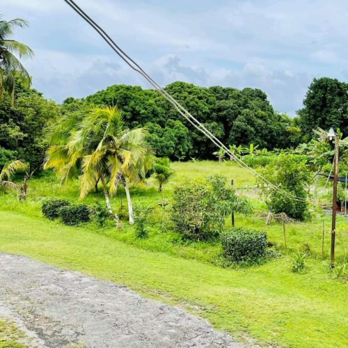 My Trinidad Experience by Richard - Things to Do in Trinidad