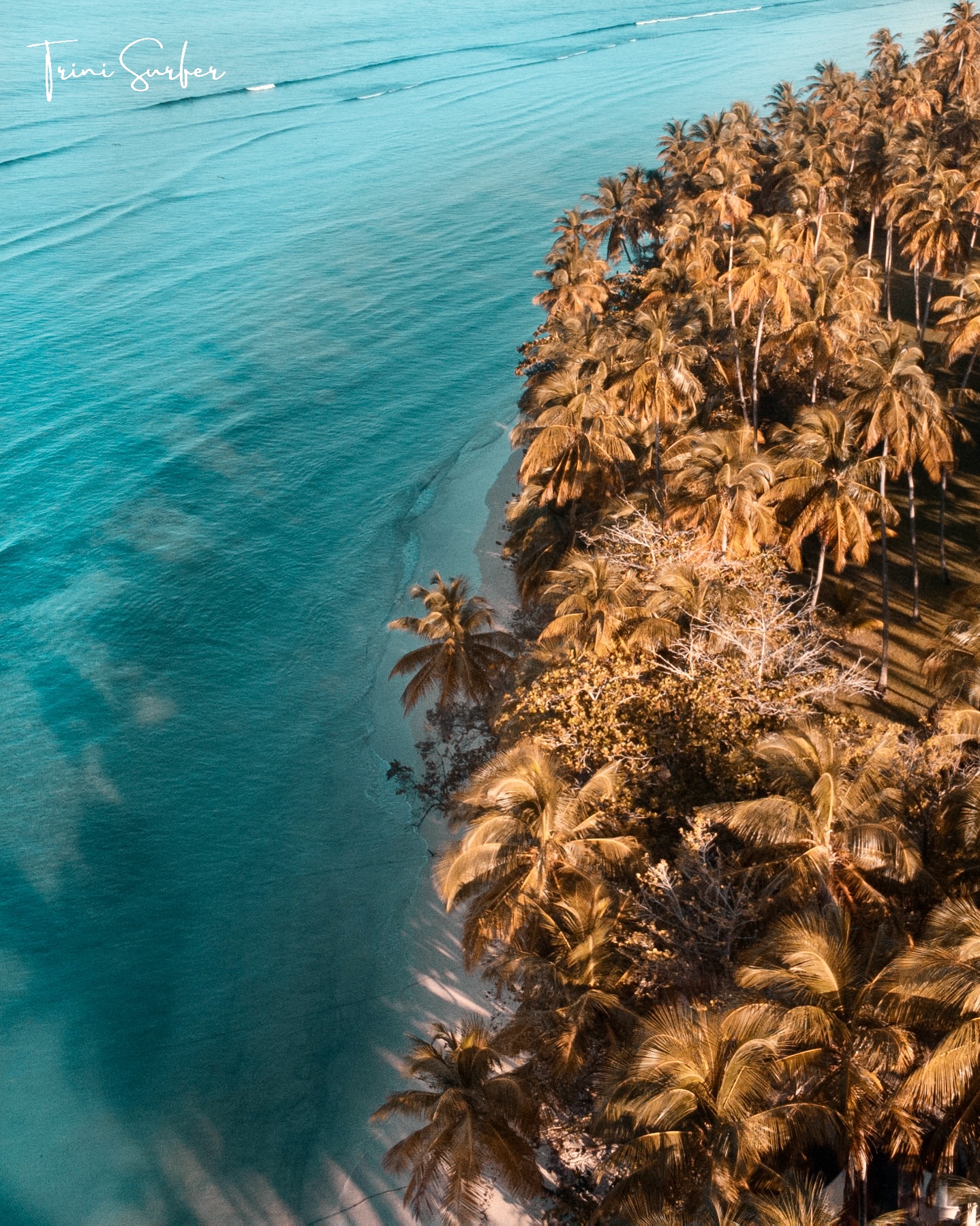Tobago - Photo Copyright - Alan Charles & Trini Surfer - Top Things to in Trinidad with Trini Surfer