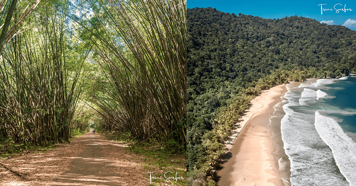 visitTrinbago