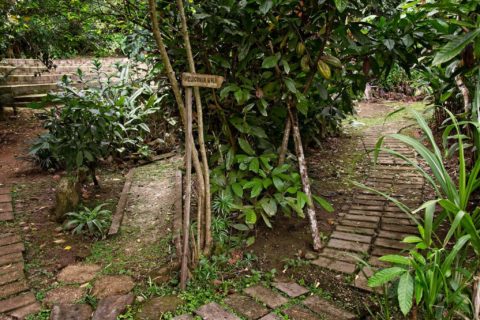 Mariposa Gardens, Heliconia Walk