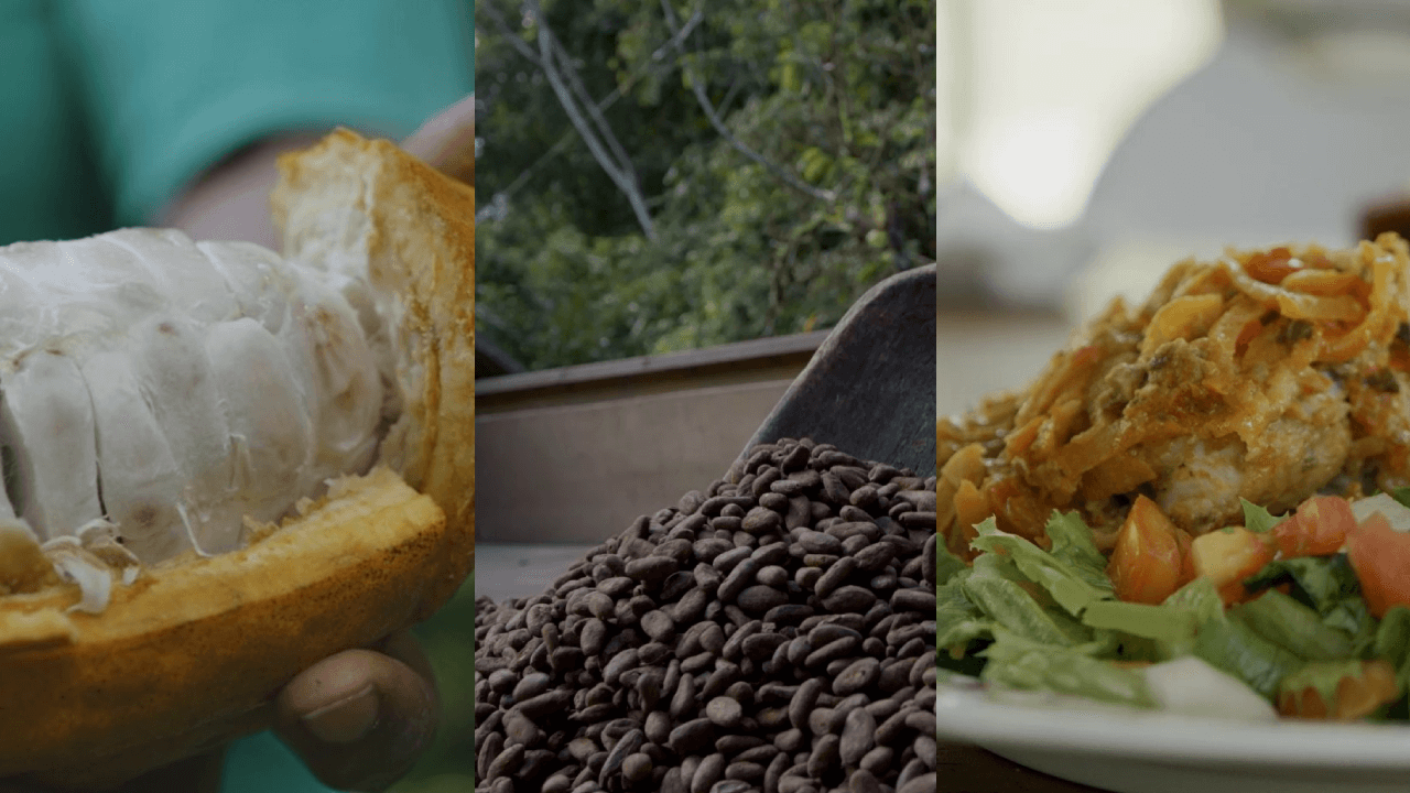 Brasso Seco Food Festival
