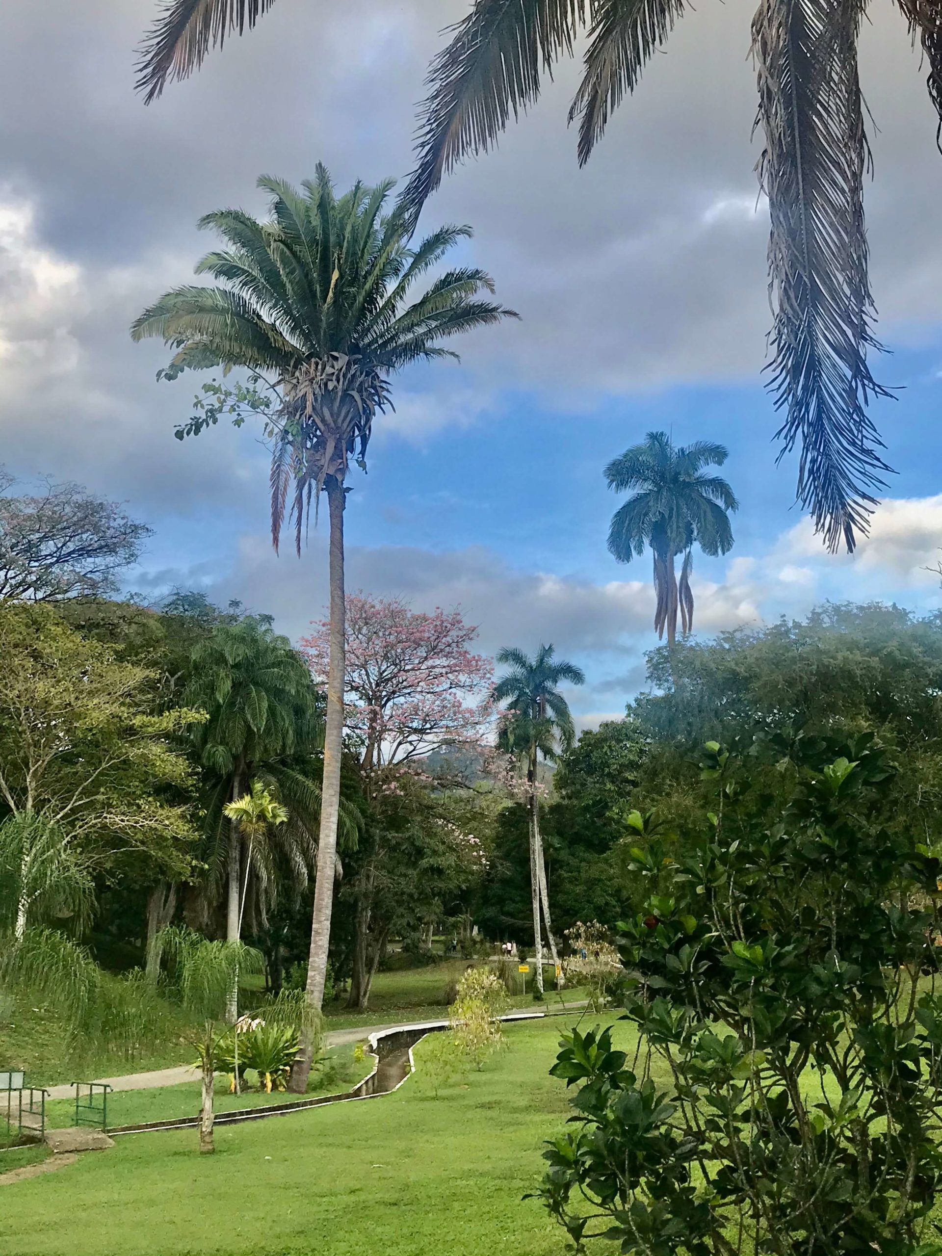 Botanical Gardens Walk