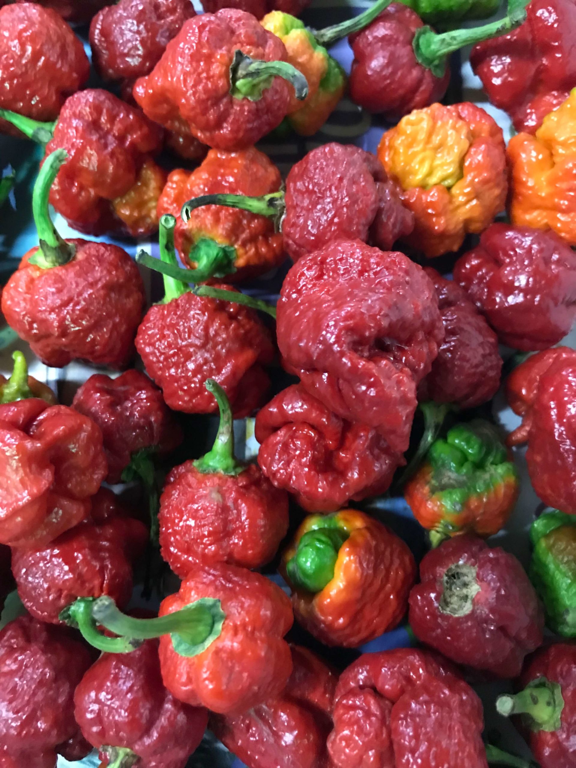 Chaguanas Market Pepper Overhead
