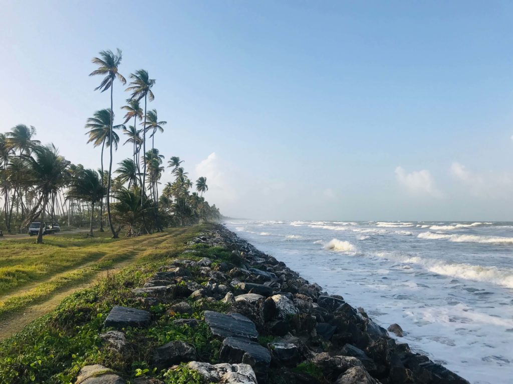 Manzanilla Moody Waves