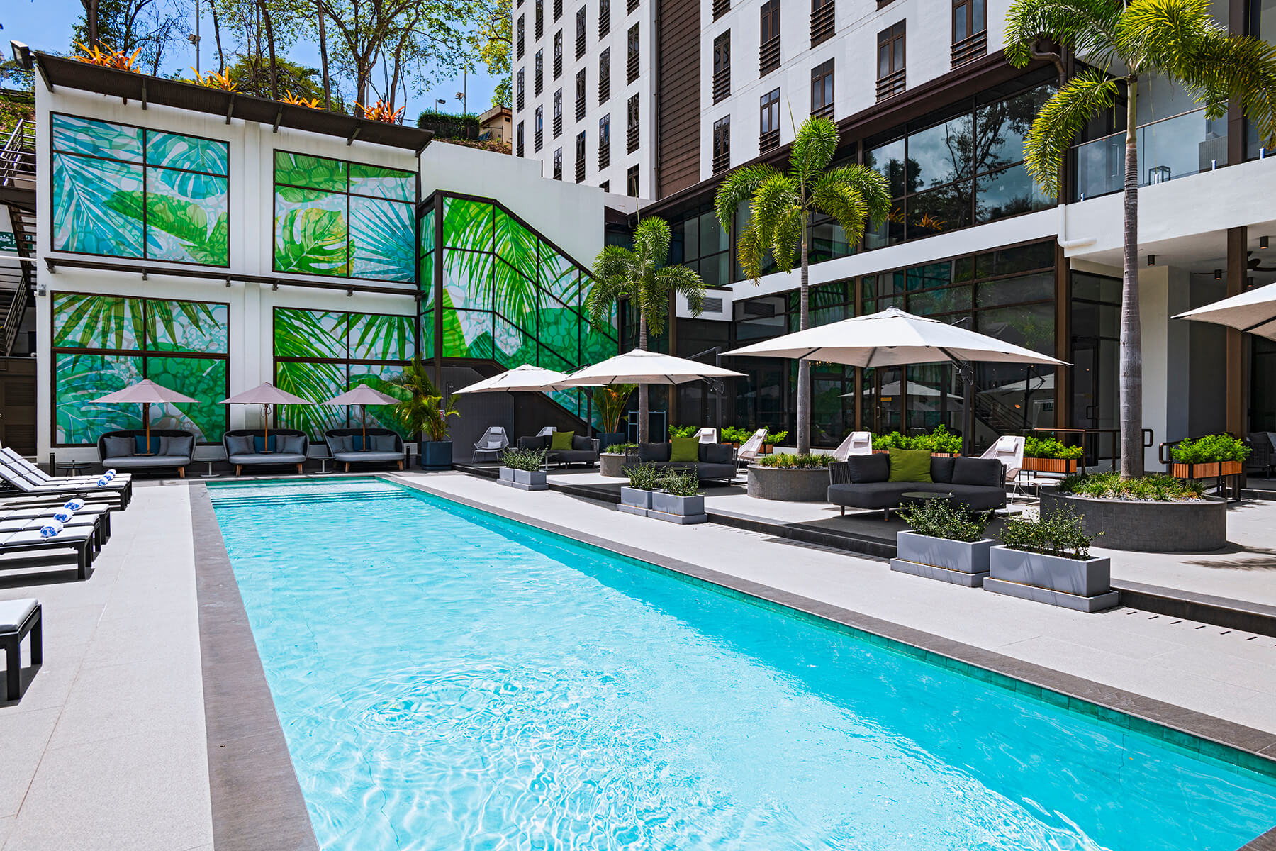 Pool at The BRIX Autograph Collection - Hotel in Port of Spain, Trinidad