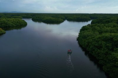 Caroni Bird Sanctuary as captured by Mark Wiens in Trinidad and Tobago