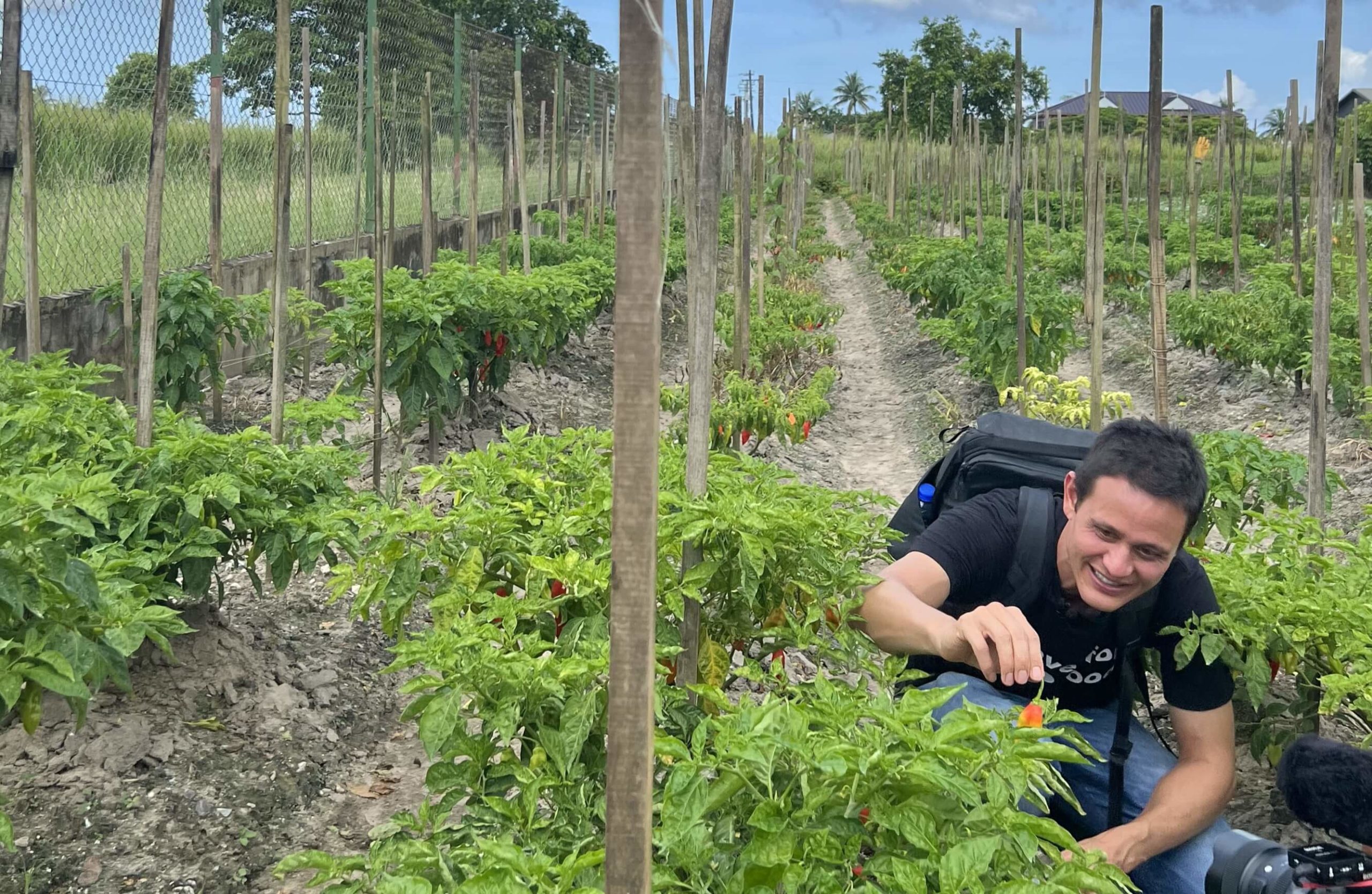 Mark Wiens in Trinidad at a Trinidad Moruga scorpion pepper farm - one of the hottest peppers in the world