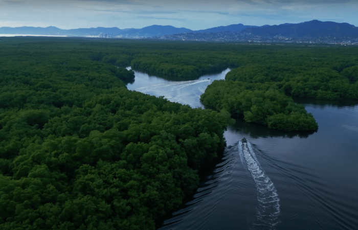 Caroni Bird Sanctuaryy in Trinidad - Dining in the Caroni Bird Sanctuary in Trinidad - Visit Trinidad Caroni Bird Sanctuaryy in Trinidad - Dining in the Caroni Bird Sanctuary in Trinidad - Visit Trinidad
