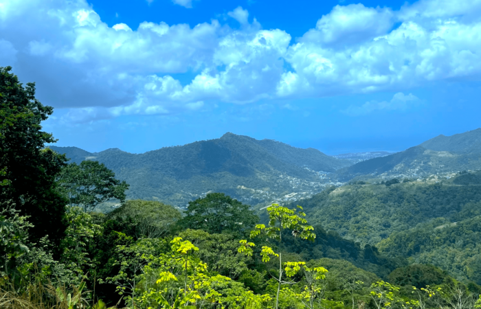 Paramin The Mountain Spice Experience in Trinidad - Visit Trinidad Paramin The Mountain Spice Experience in Trinidad - Visit Trinidad