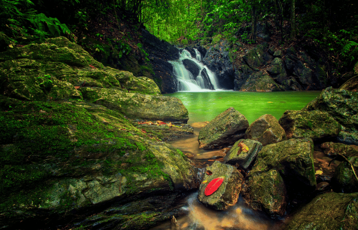 Eco Experiences in Trinidad - Tours in Trinidad - Things To Do in Trinidad - Visit Trinidad