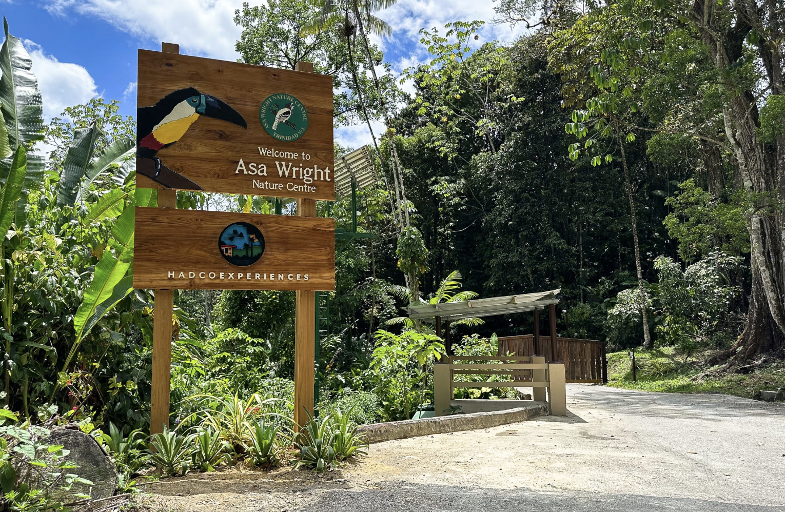 HADCO Experiences at Asa Wright Nature Centre - Birding in Trinidad - Birdwatching - Visit Trinidad