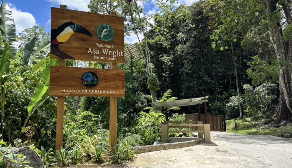 HADCO Experiences at Asa Wright Nature Centre - Birding in Trinidad - Birdwatching - Visit Trinidad