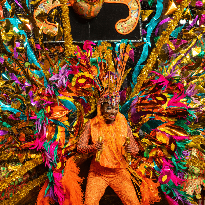 Trinidad Carnival - Kings and Queens - Trinidad Costumes - Things to Do in Trinidad