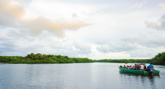 Caroni Swamp in Trinidad - Birdwatching in Trinidad