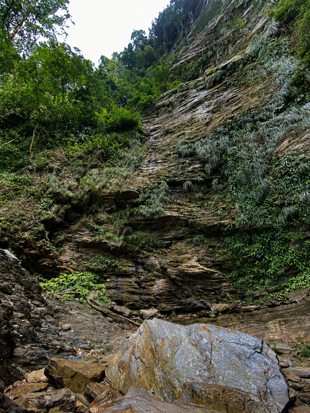 visitTrinbago