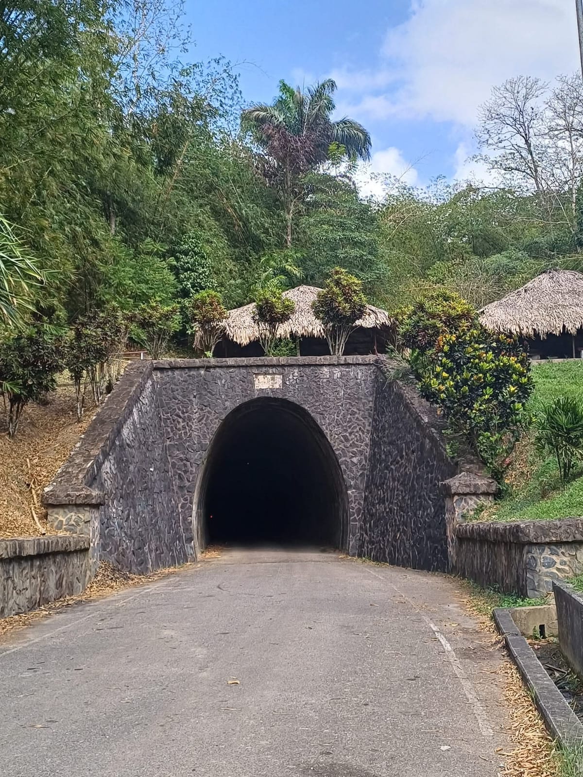visitTrinbago