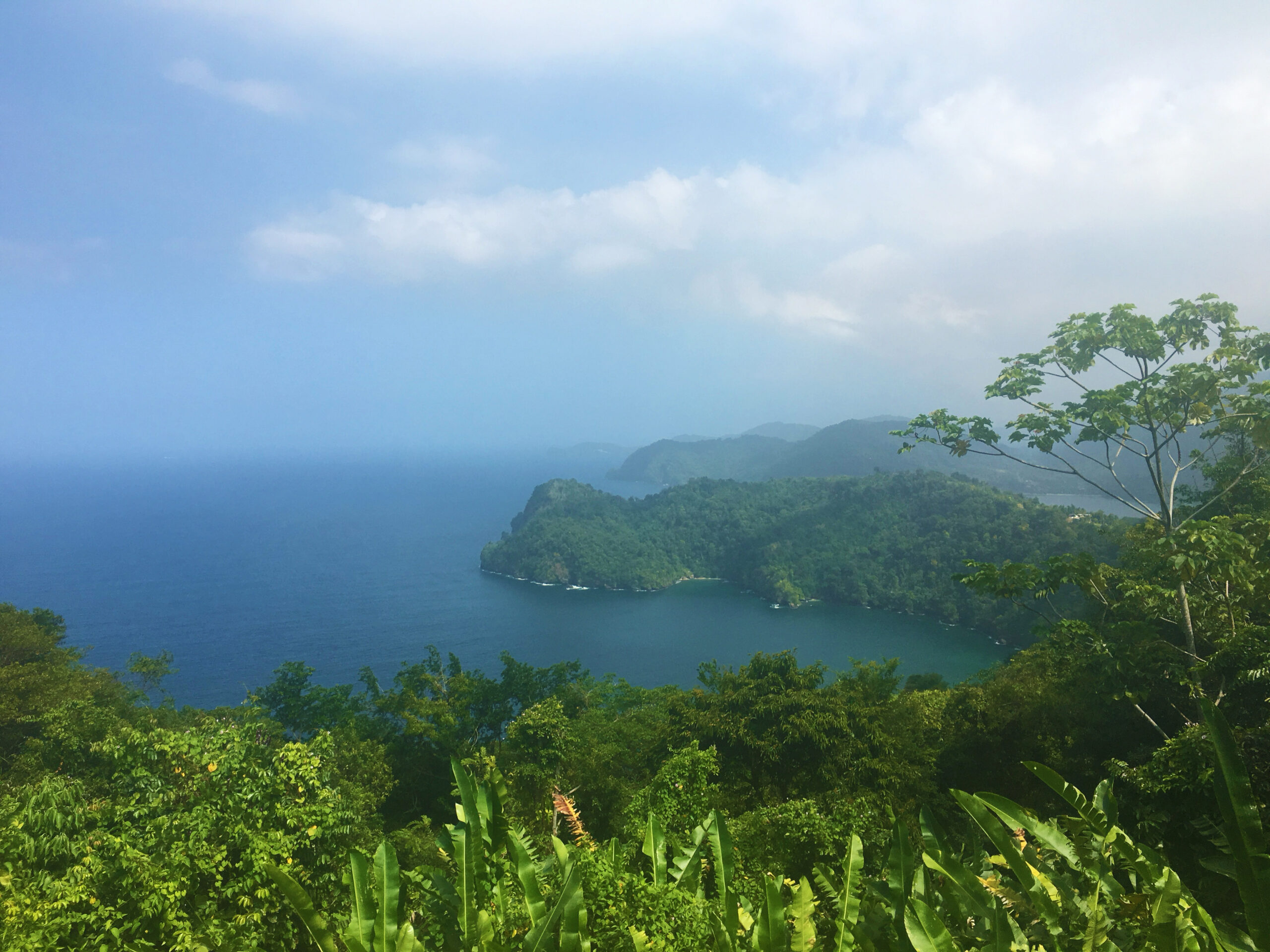 visitTrinbago