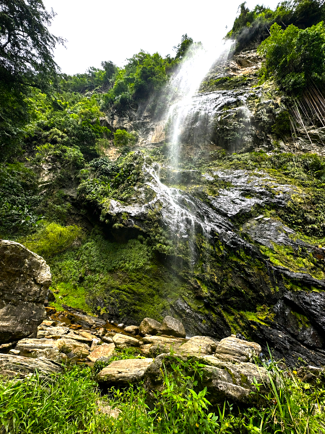visitTrinbago