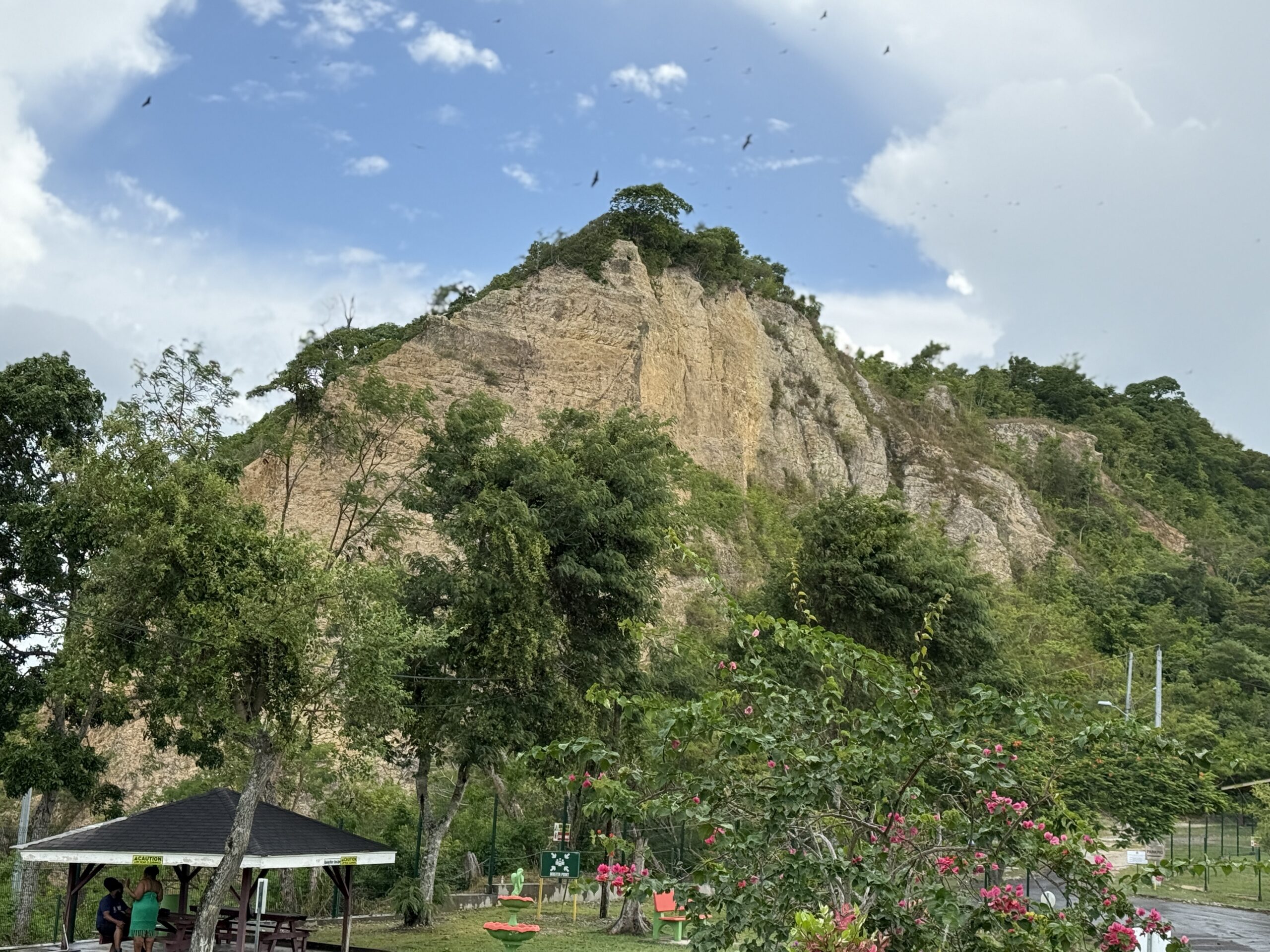 visitTrinbago
