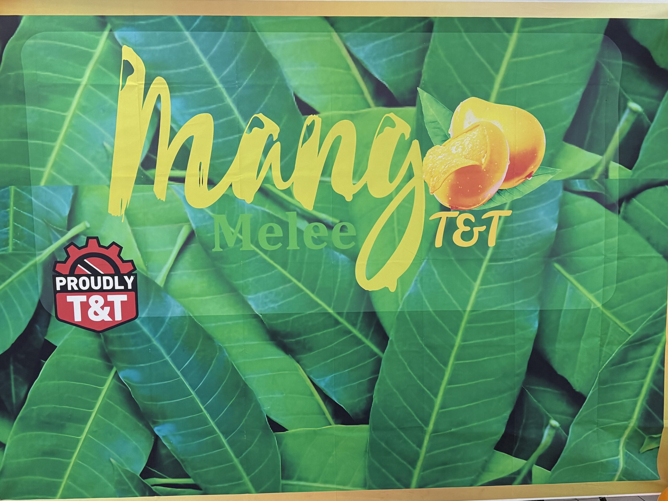visitTrinbago