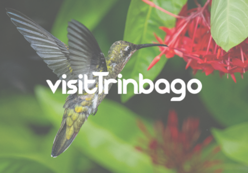 VisitTrinbago