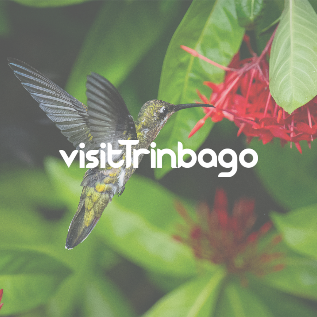 visitTrinbago