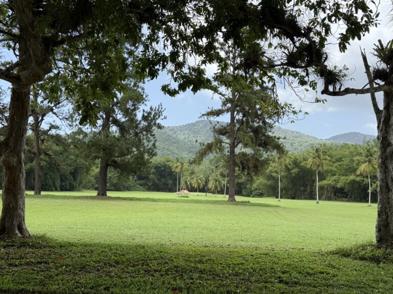 Chaguaramas Golf Course Trail