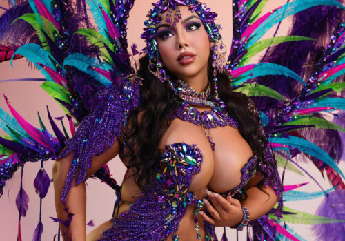 Paparazzi Carnival 2026-12