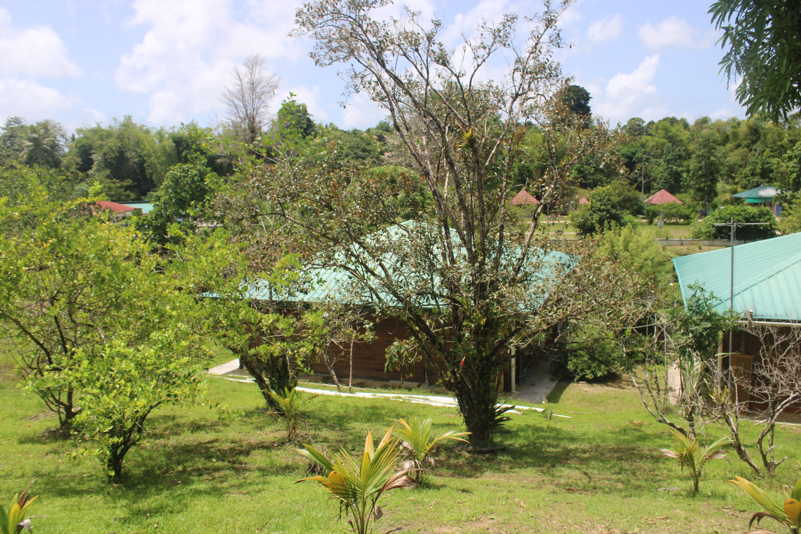 visitTrinbago