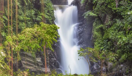 James B. Solomon- Paria Waterfall
